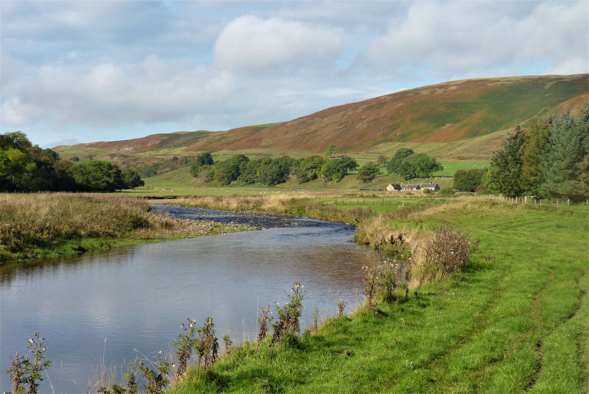 River Coquet at Alwinton